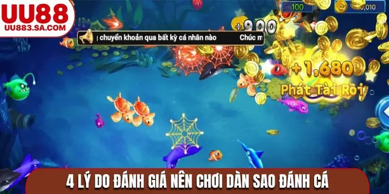 4 lý do đánh giá nên chơi dàn sao đánh cá